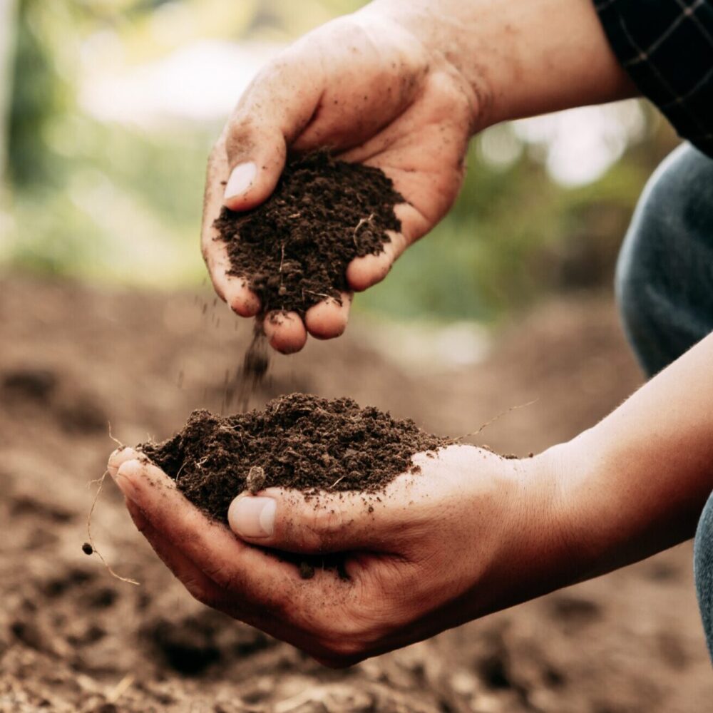 Hand,Of,Farmer,Inspecting,Soil,Health,Before,Planting,In,Organic