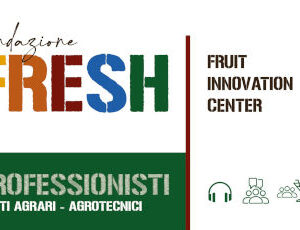 Ticket professionisti