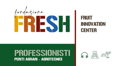 Ticket professionisti