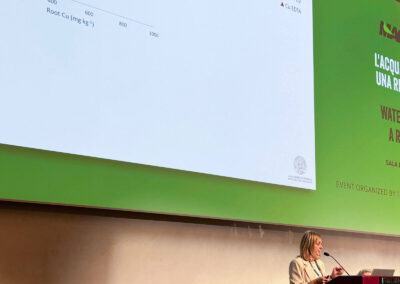 Prof.ssa Elena Baldi