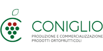 Dott. Nicola Coniglio s.r.l., con socio unico